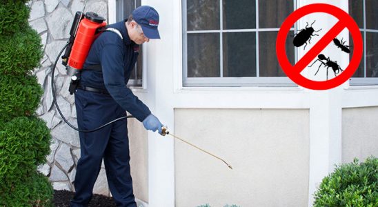 Havran Dezenfeksiyon böcek ilaçlama ve haşere kontrolü — ilaclama-tr.com